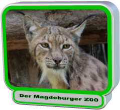 Der Magdeburger Z00