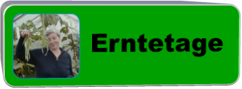 Erntetage