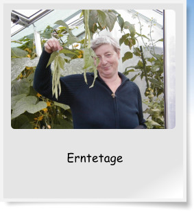 Erntetage