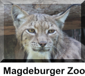 Magdeburger Zoo