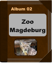 Album 02 Zoo Magdeburg